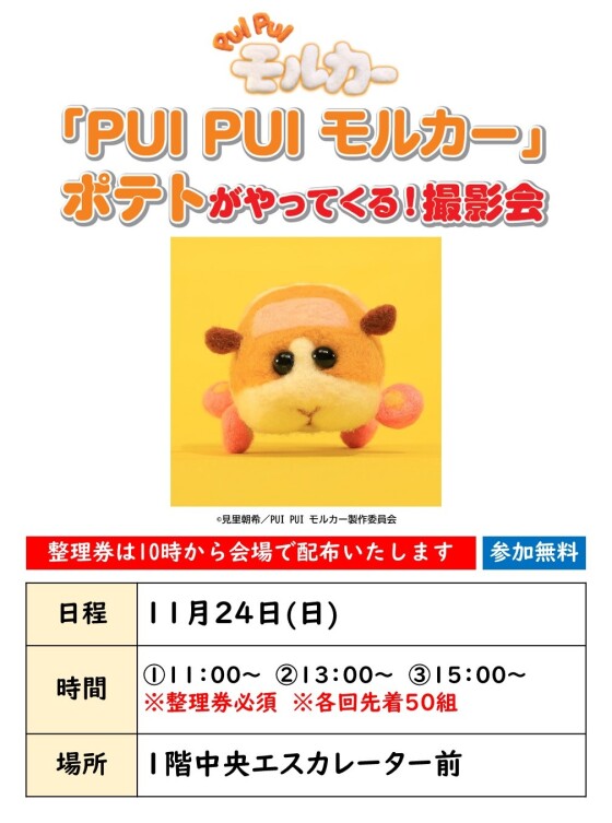 「PUI PUI モルカー」ポテトがやってくる！撮影会