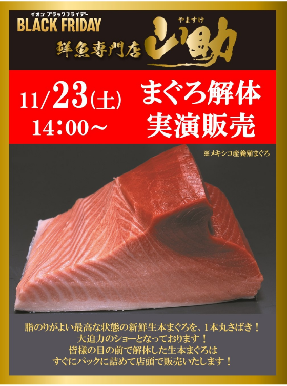 11/23(土)まぐろ解体実演販売