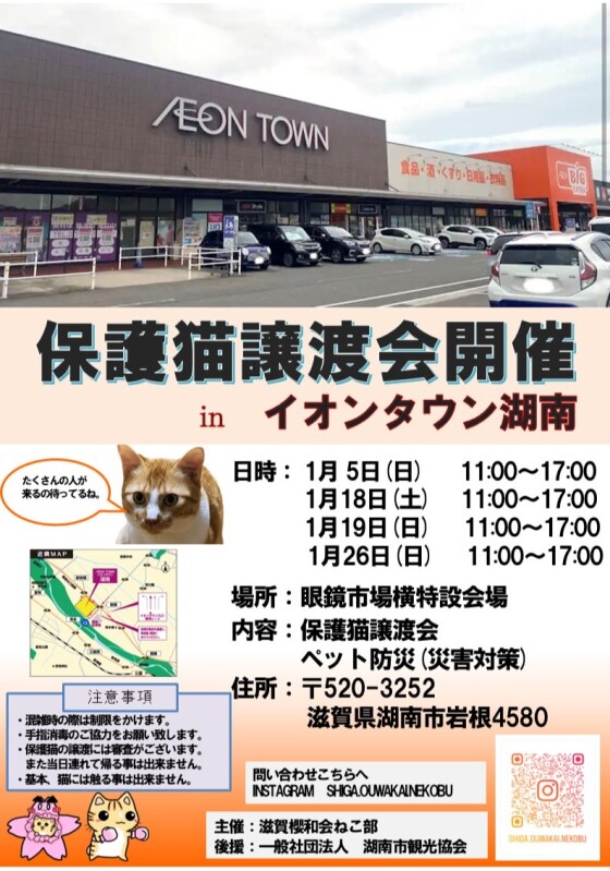 保護猫譲渡会