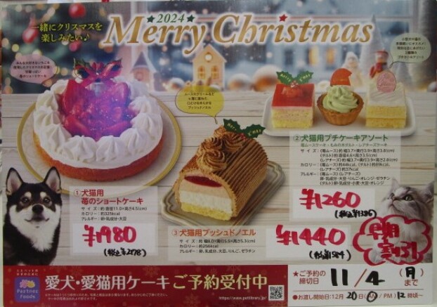 愛犬愛猫クリスマスケーキのご予約受付中🐾🎄