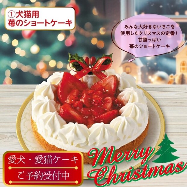 2024 クリスマスケーキご予約受付中🎄